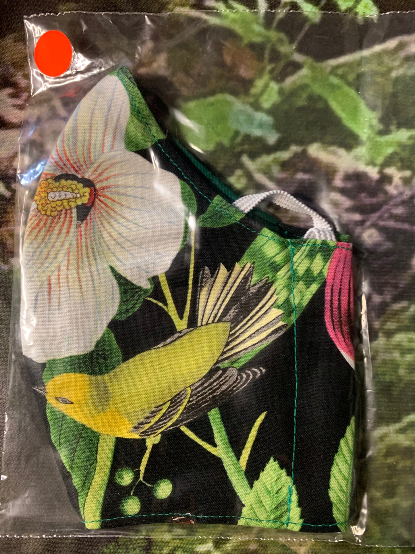 Beautiful Birds 3