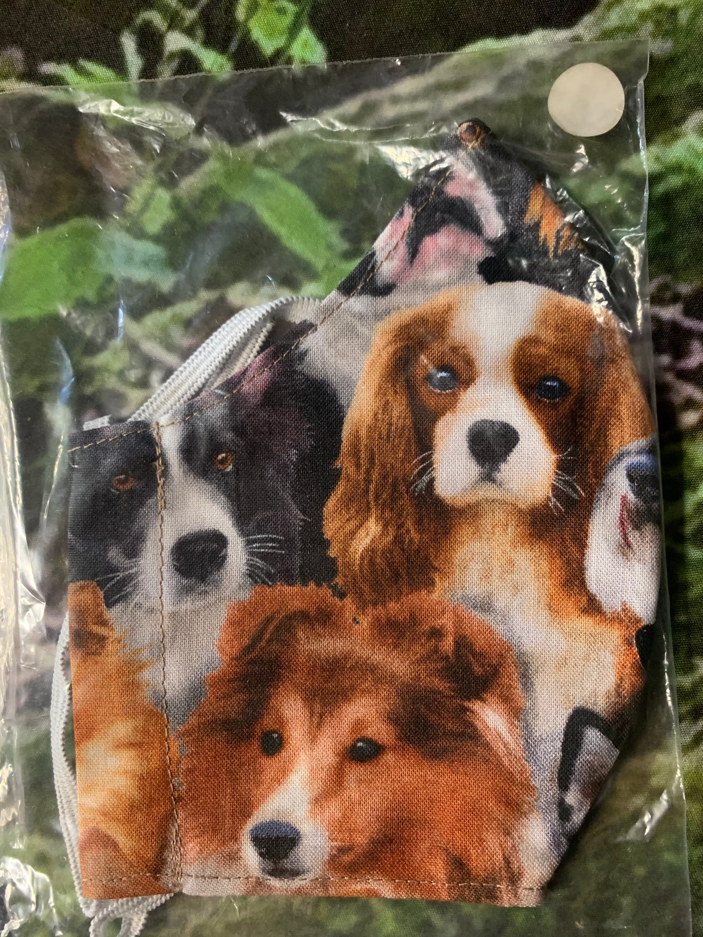 Cute Puppy 7