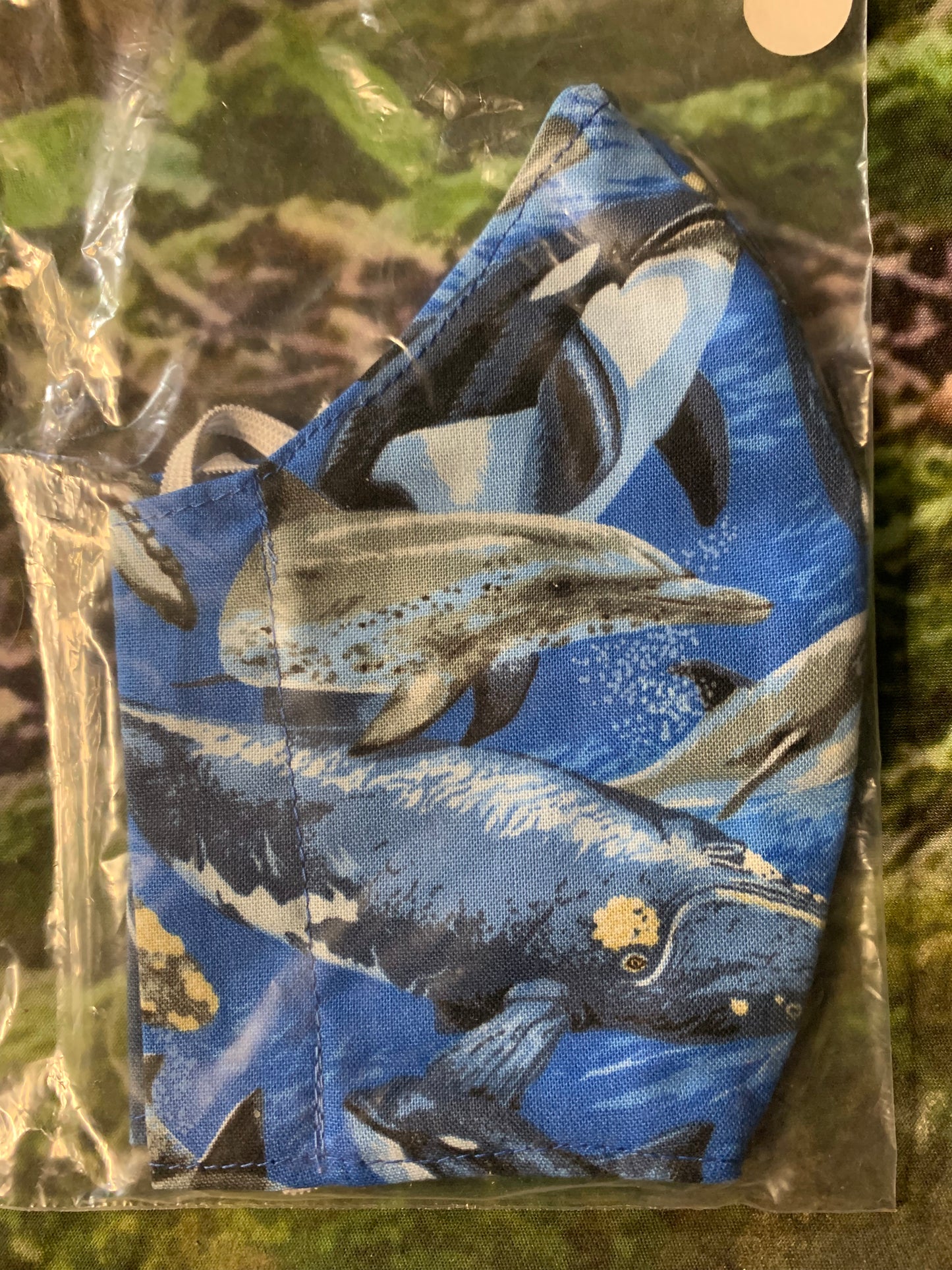 Dolphins