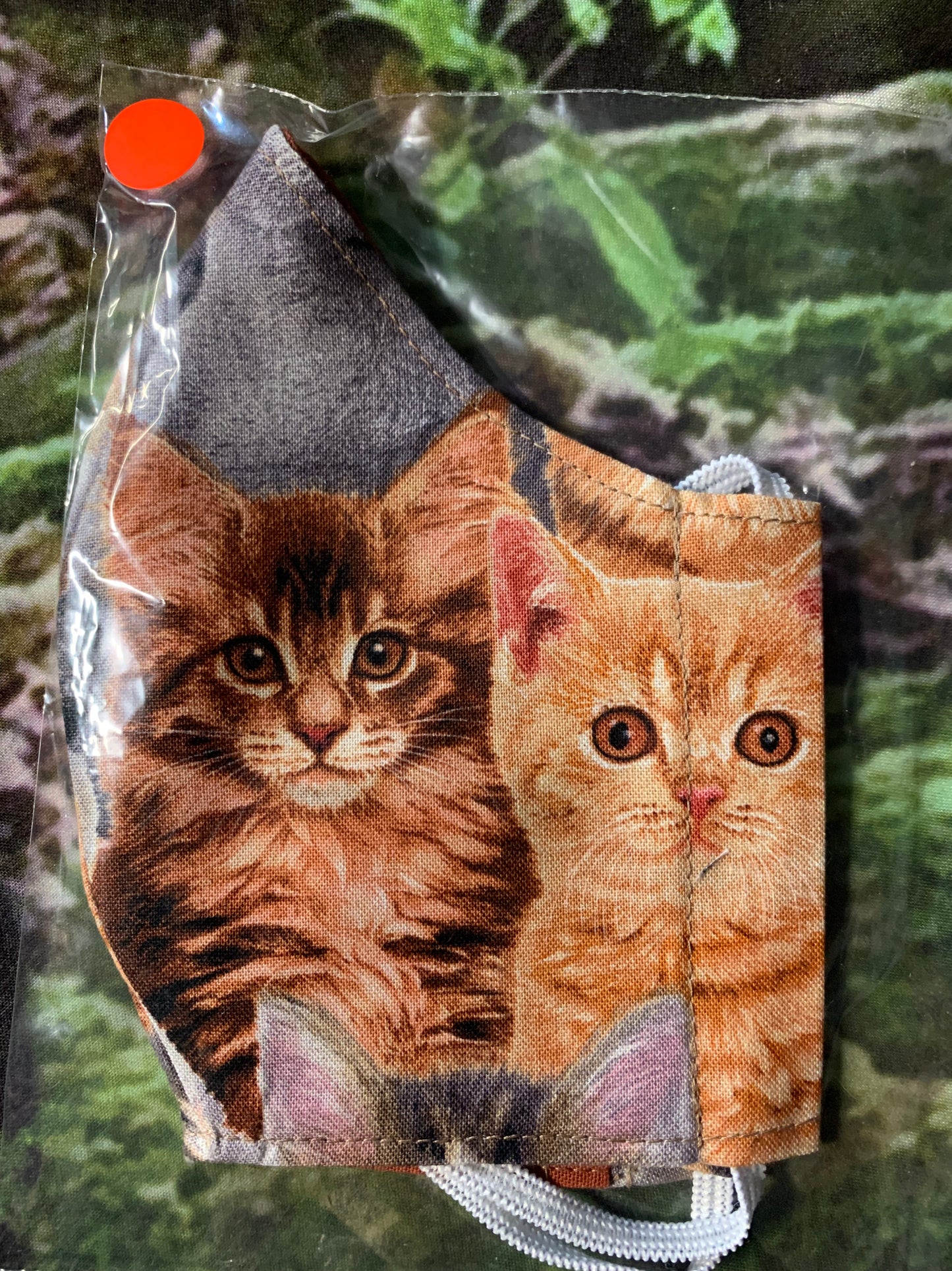Kittens 7