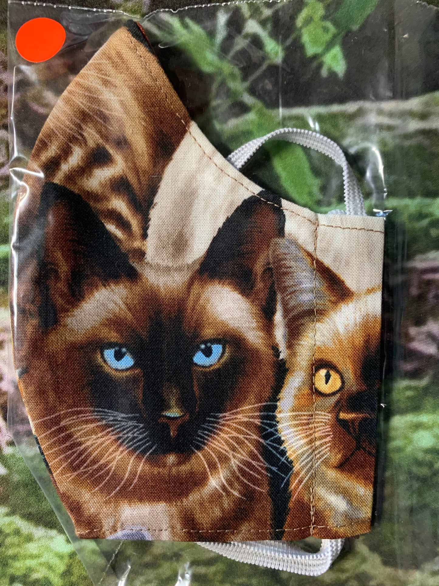 Siamese Cat