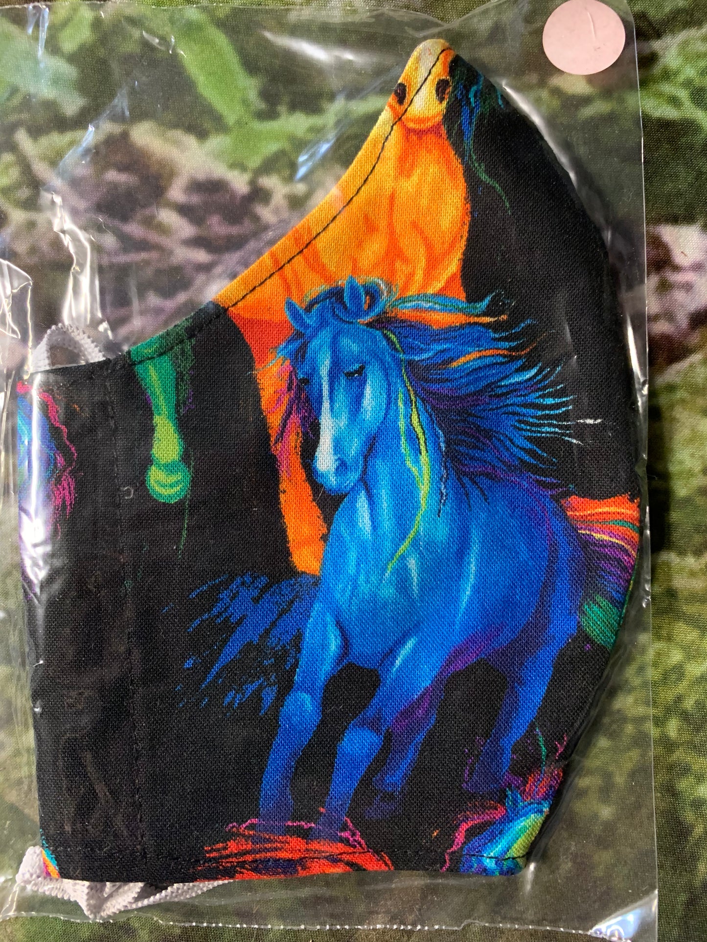 Beautiful colourful Horses