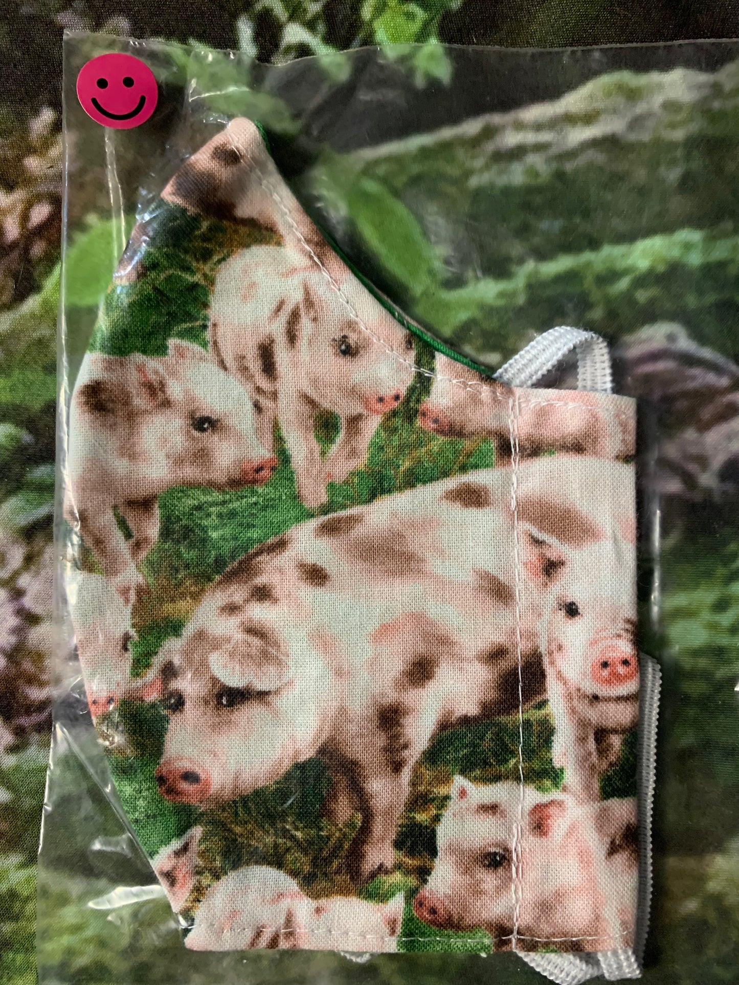 Pigs