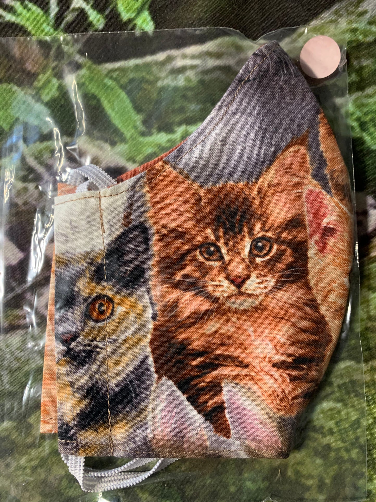 Kittens 7