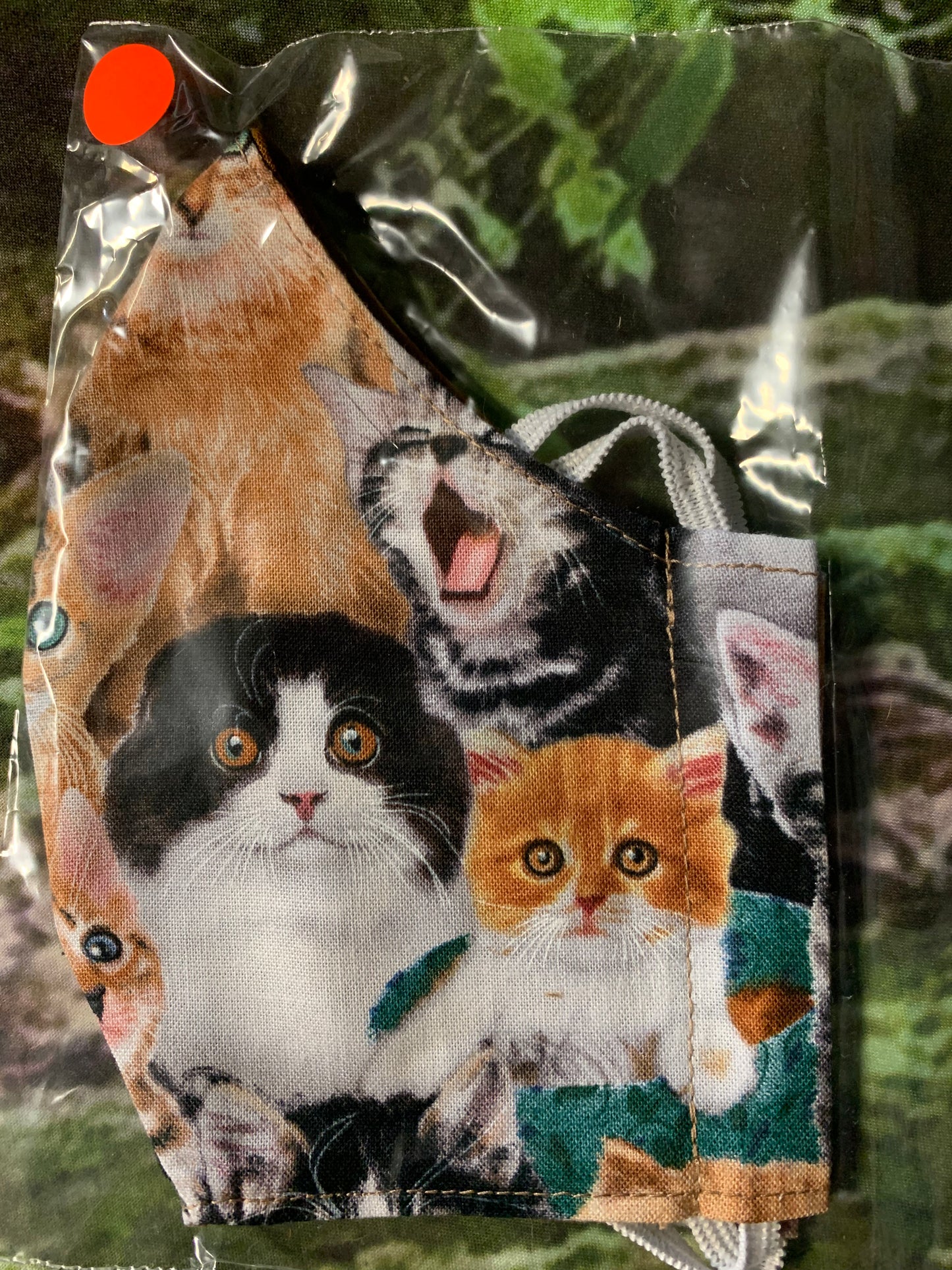 Kittens 3