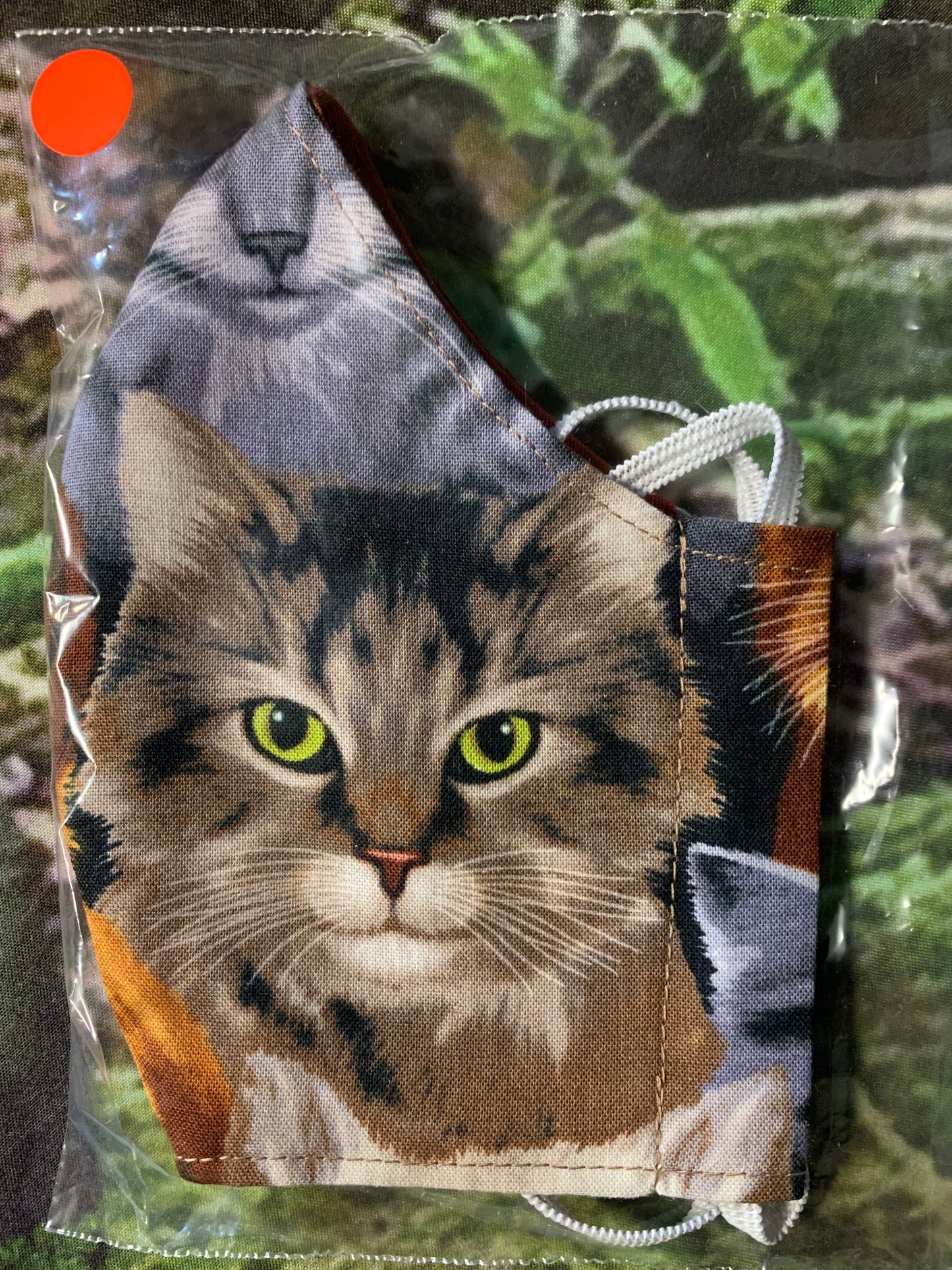 Tabby Cat Face