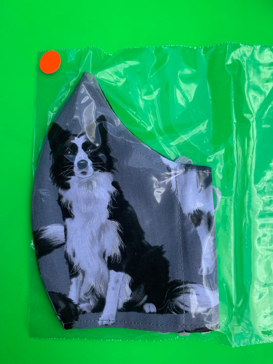 Border collie dog design