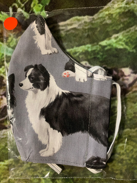 Border Collie Standing 2