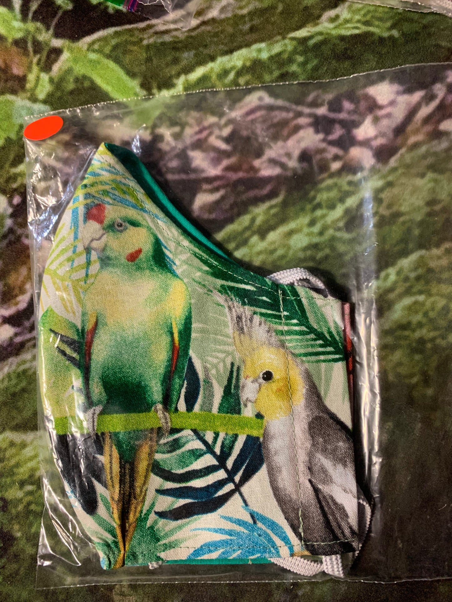 Gorgeous Birds