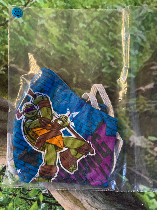 Teenage mutant ninja turtles