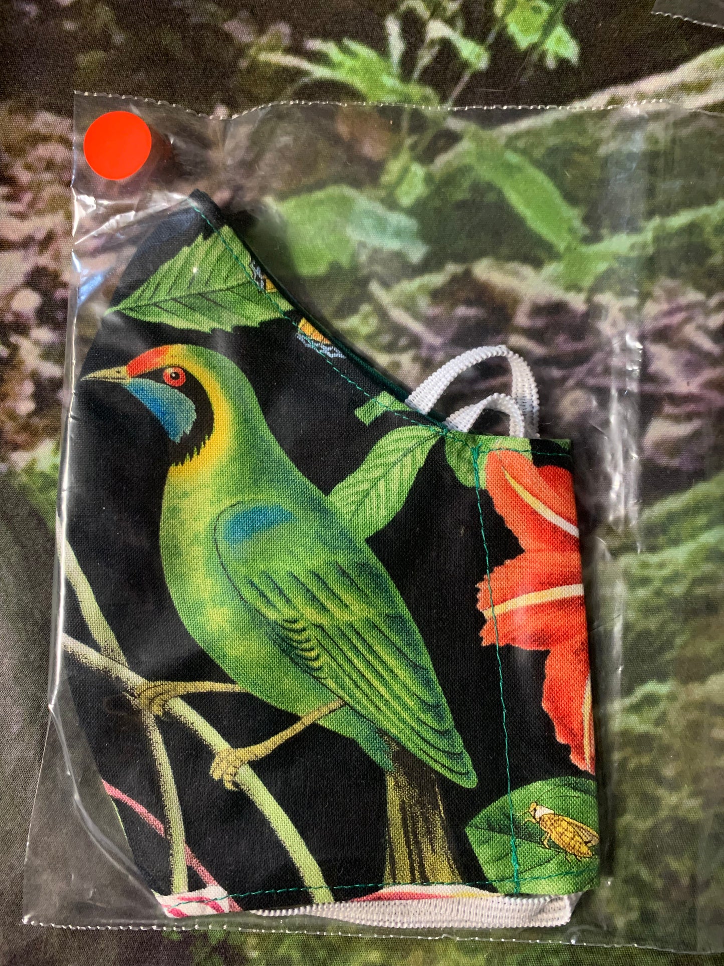 Beautiful Birds 4