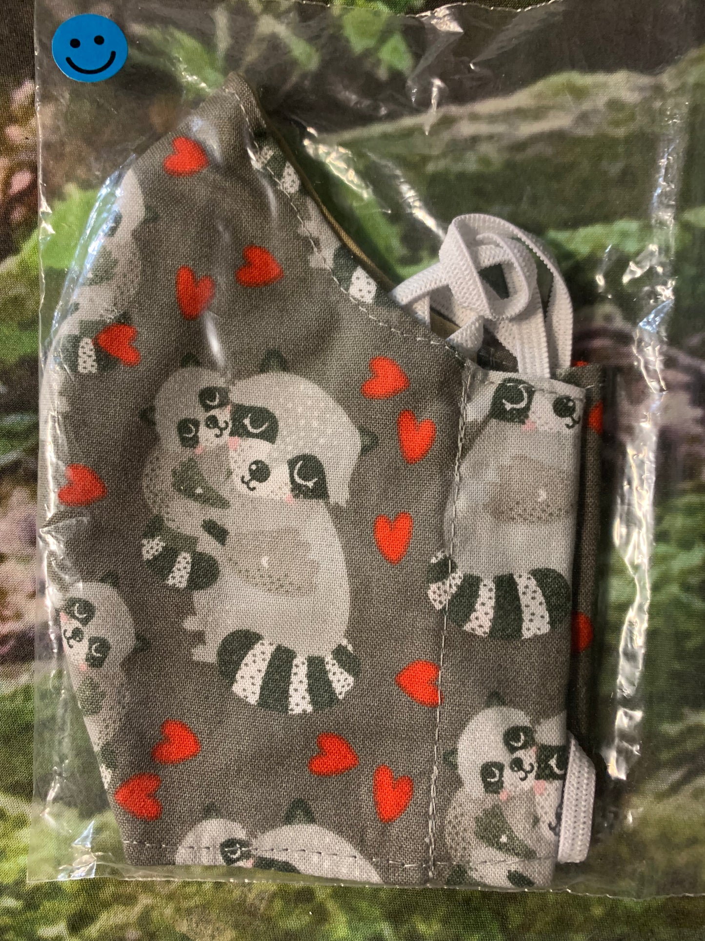 Raccoons