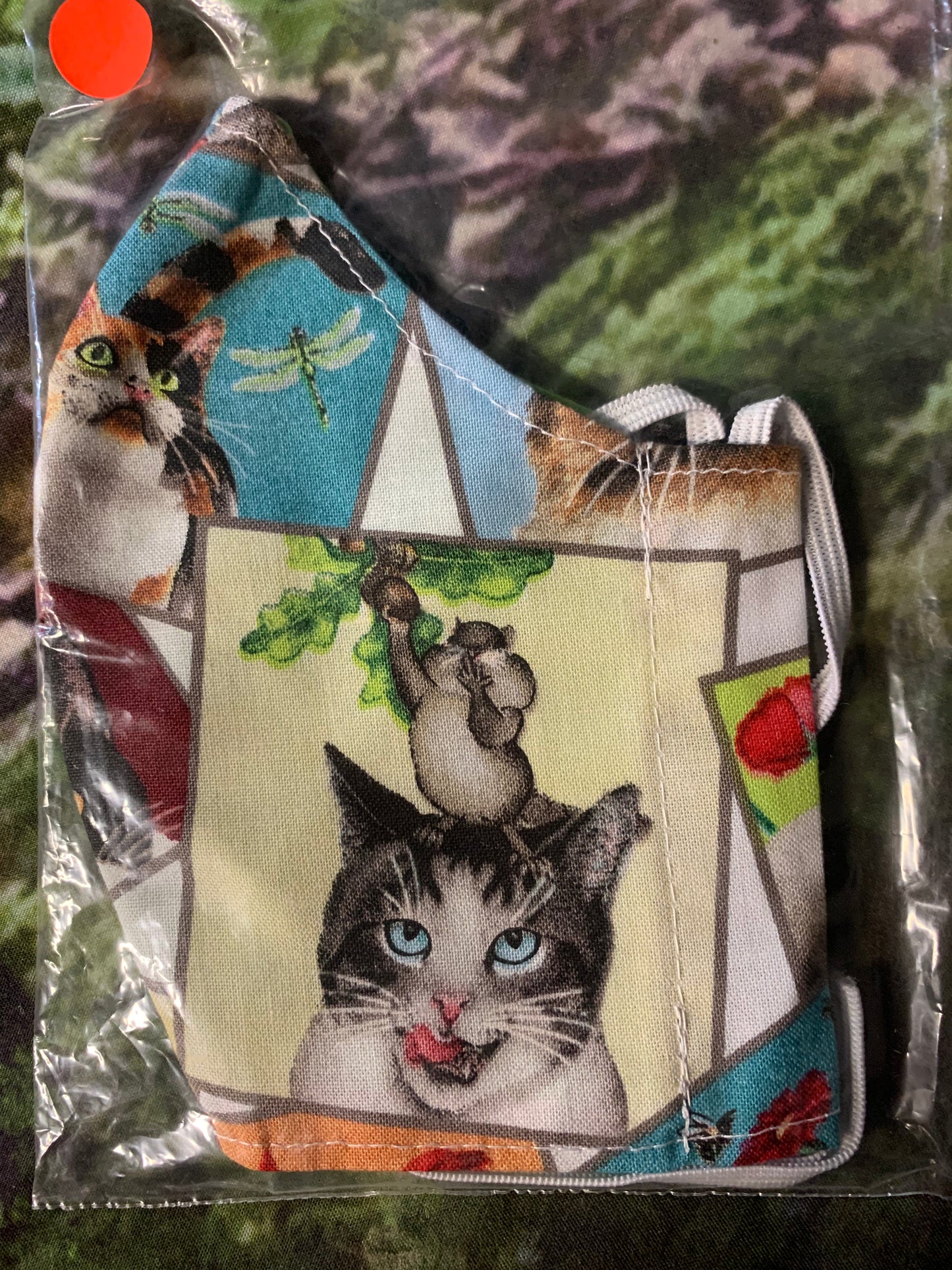 Curious Cats 1