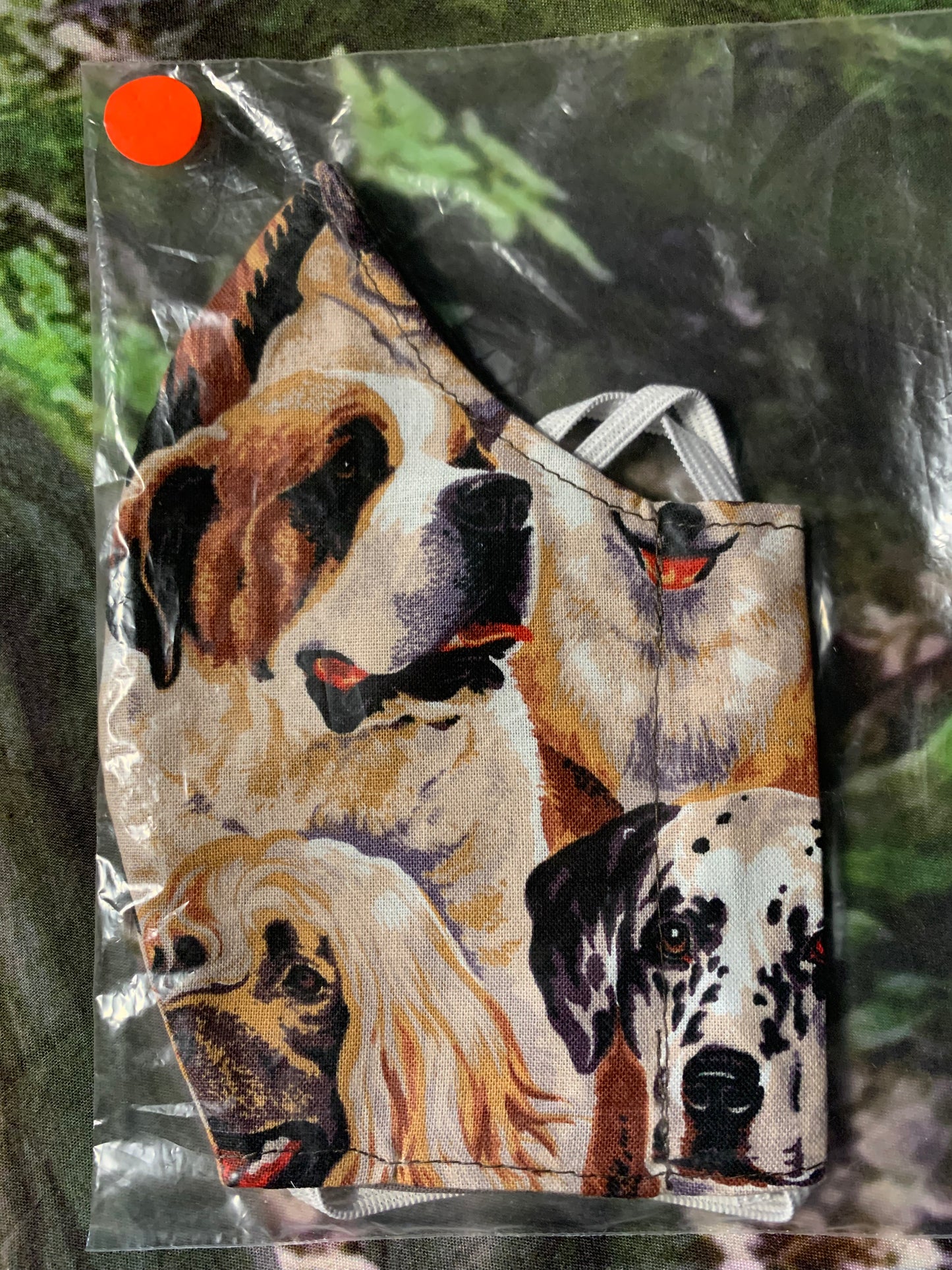 St Bernard 2