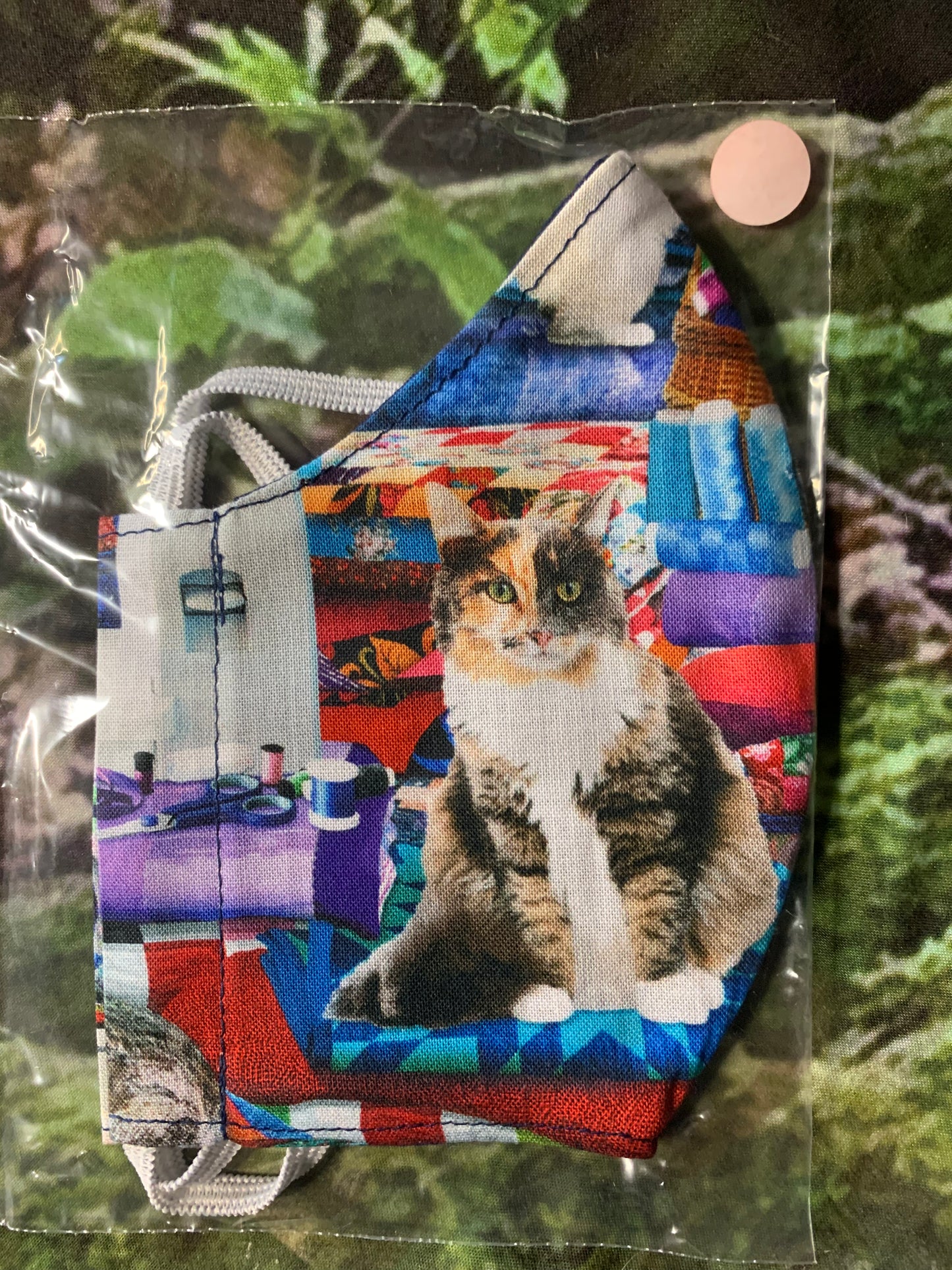 Lazy Cats 1