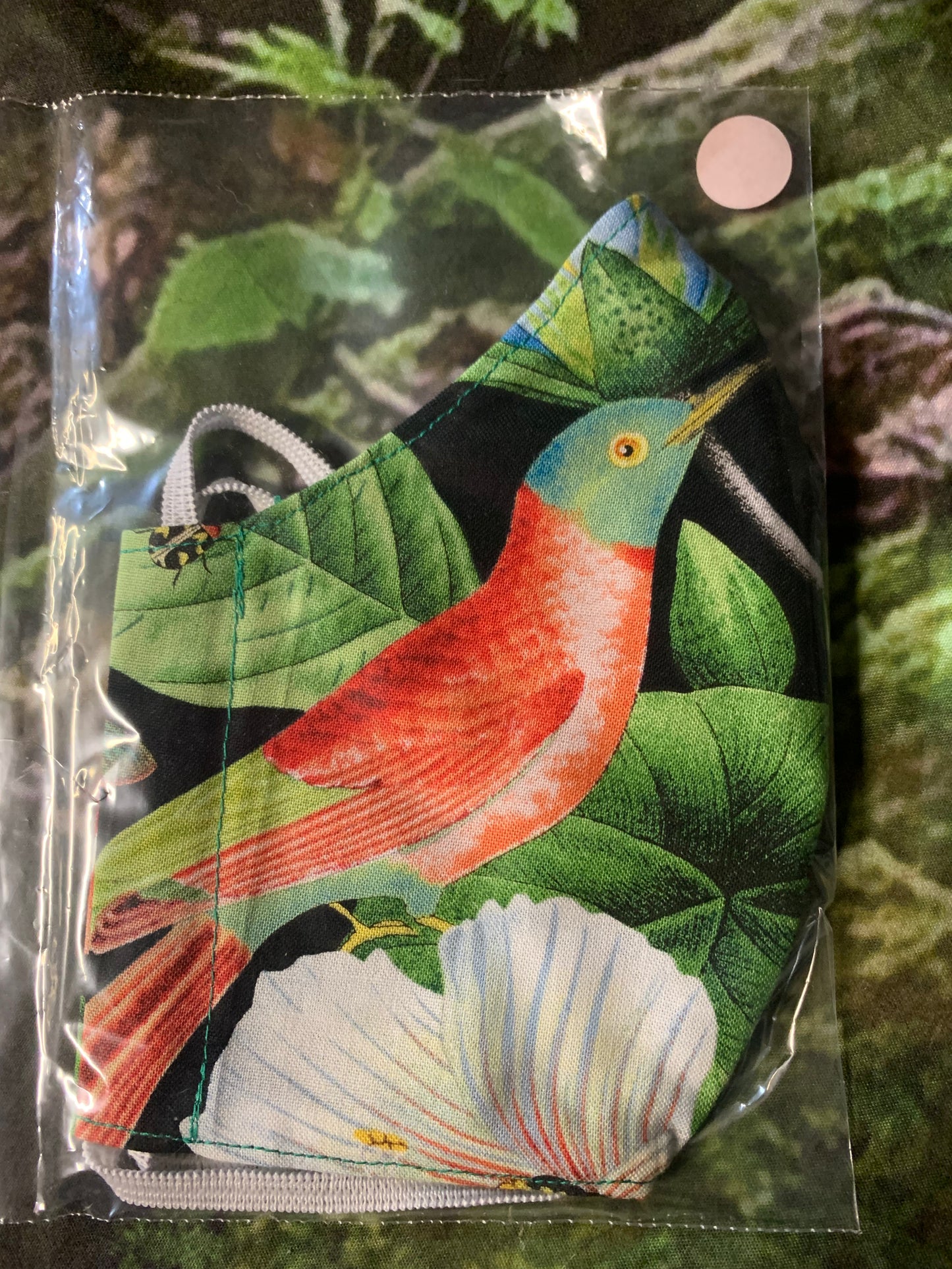 Beautiful Birds 4