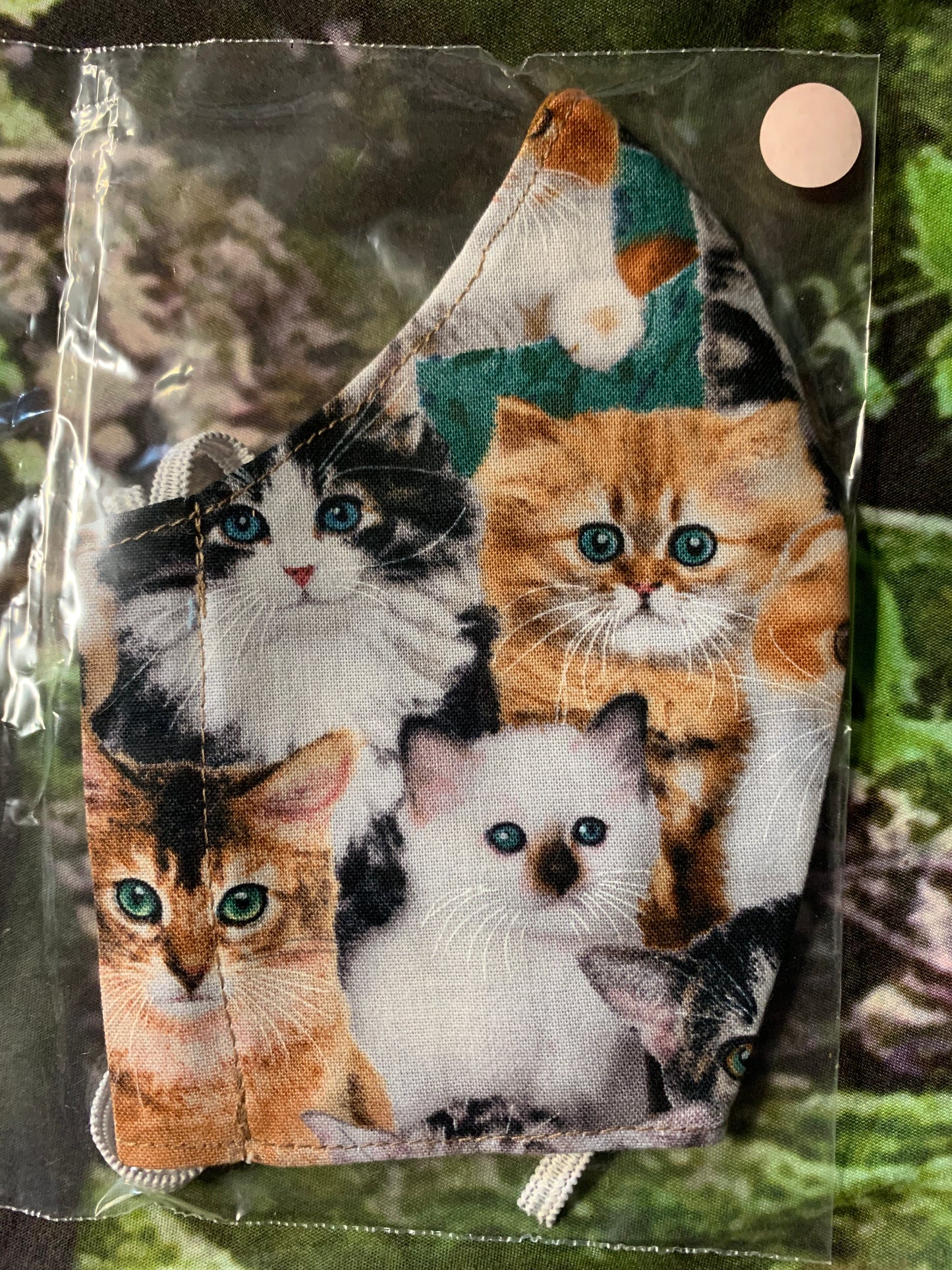 Kittens 6