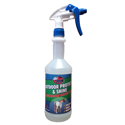Dr Show Outdoor Protect and Shine 750ml