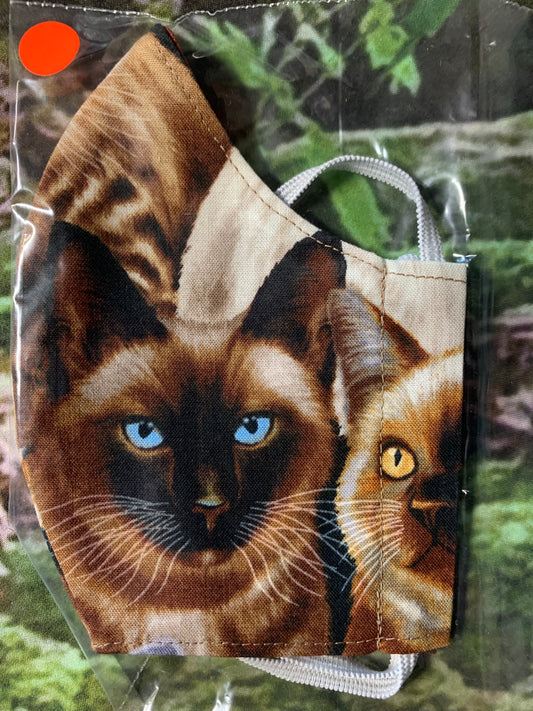 Siamese Cat
