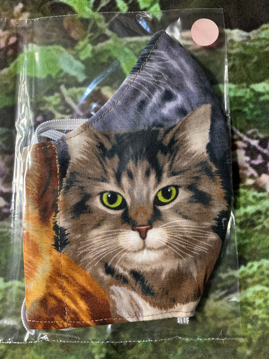 Beautiful Cat Faces 3