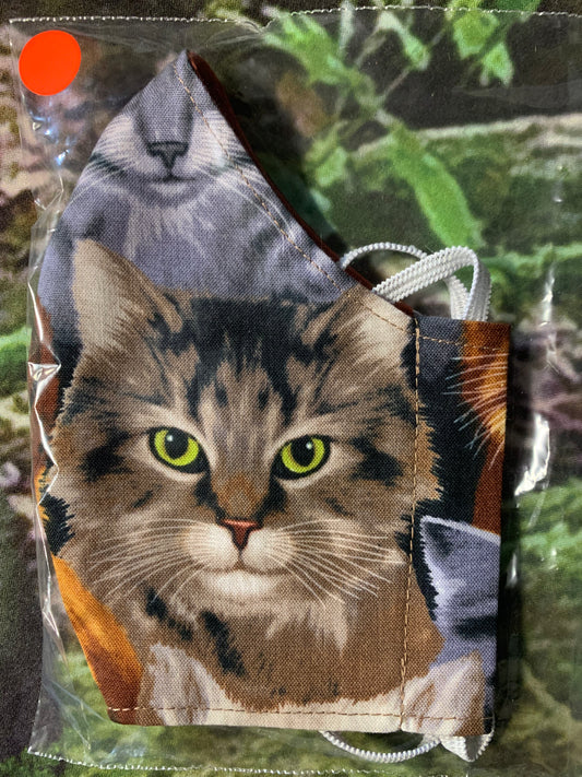 Tabby Cat Face