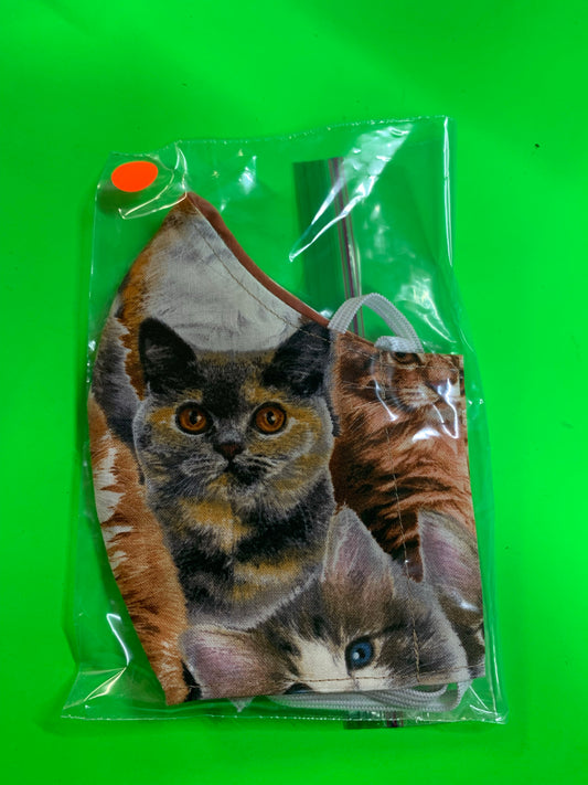 Cat  design