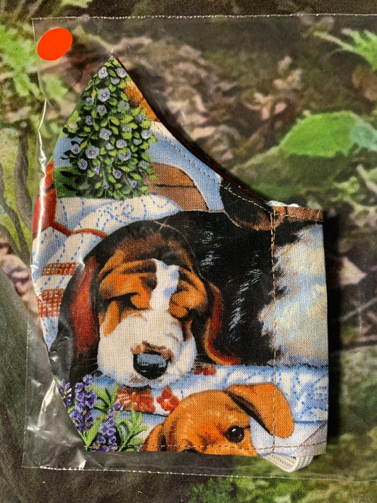 Basset Hound