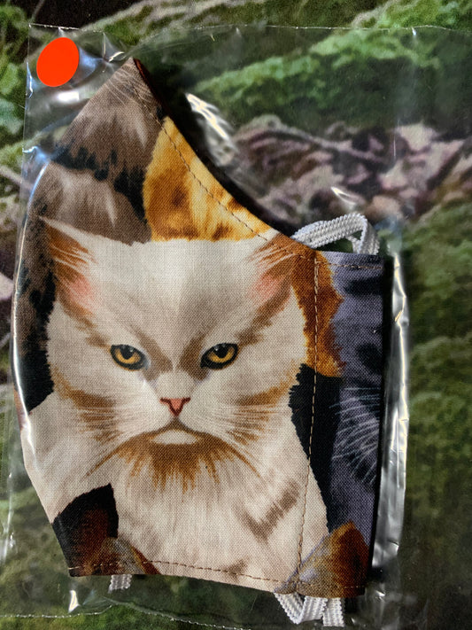 White Cat