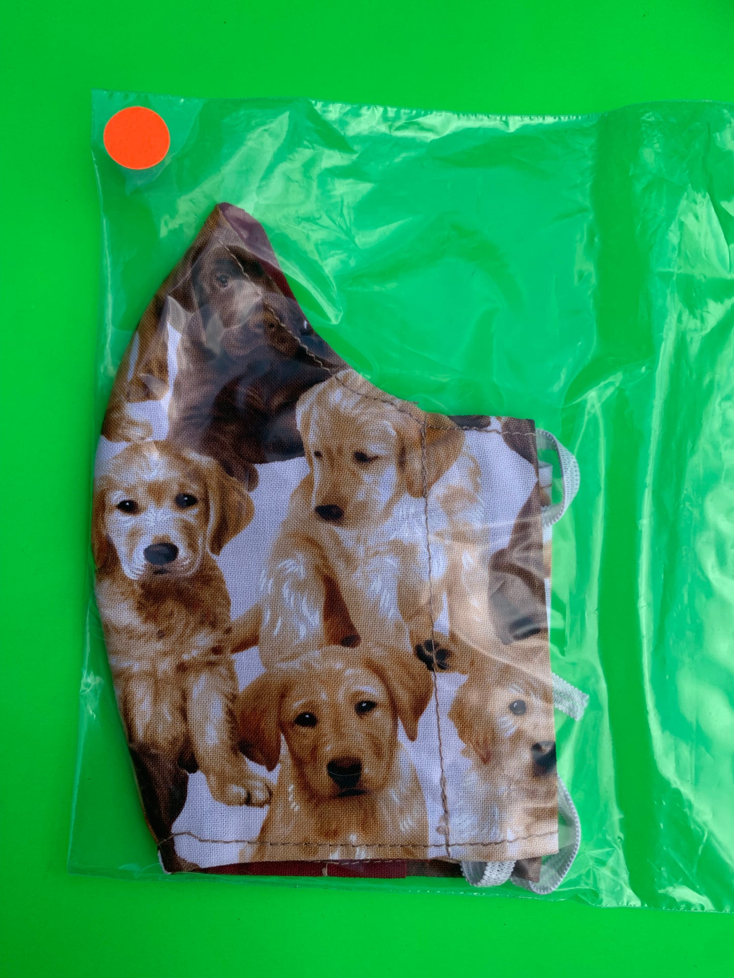 Golden retriever pups dog design