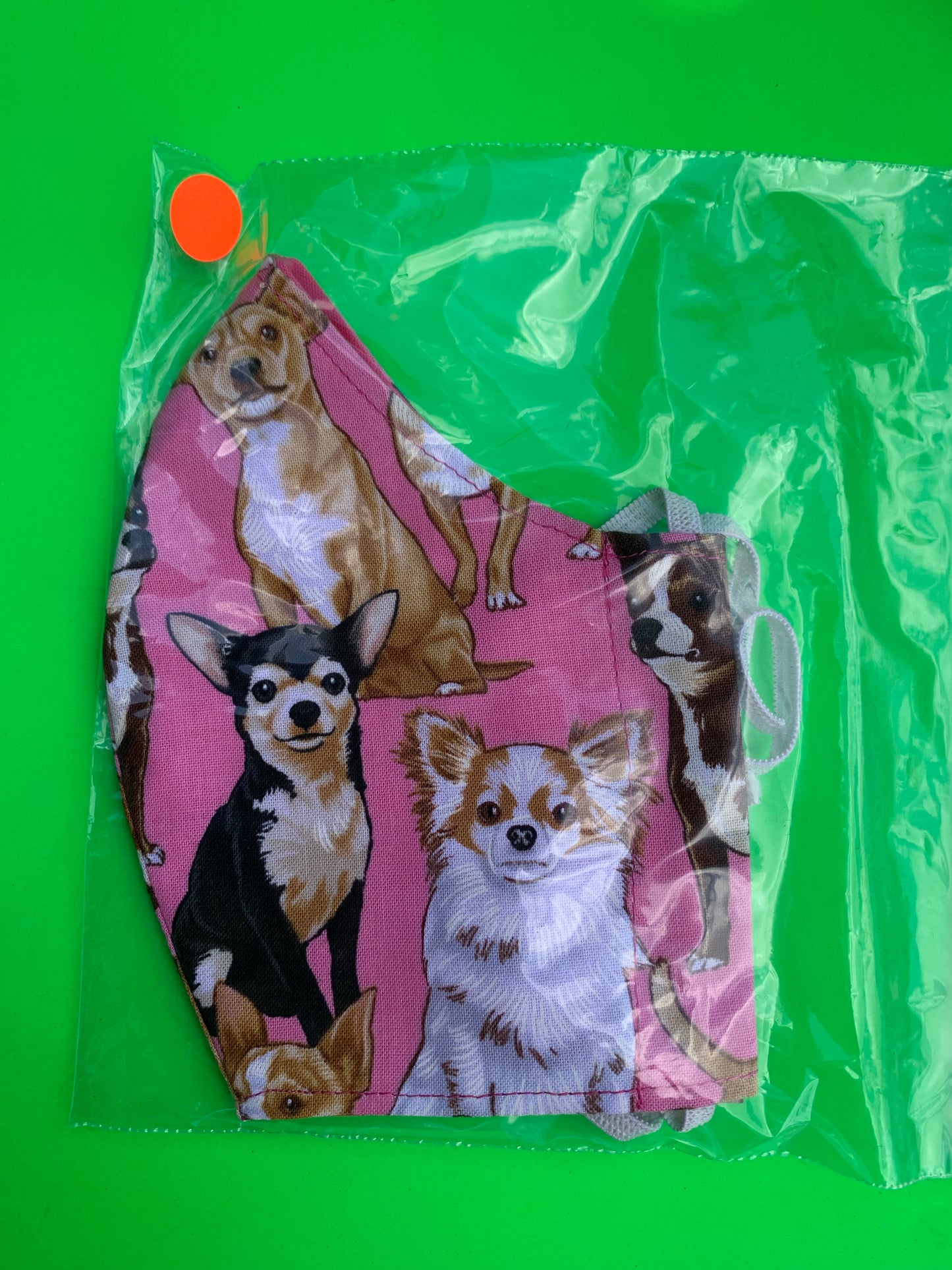Chihuahua  pink dog design