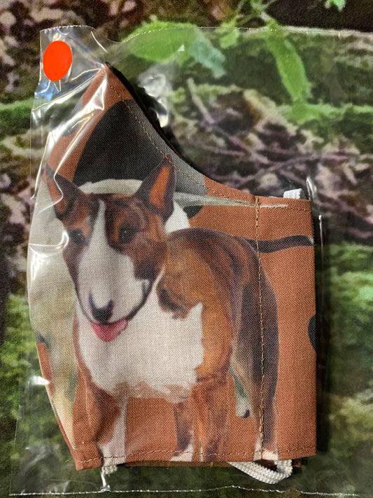 Bull Terrier 3