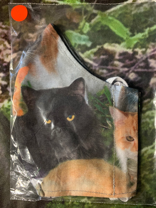 2 Beautiful Cats