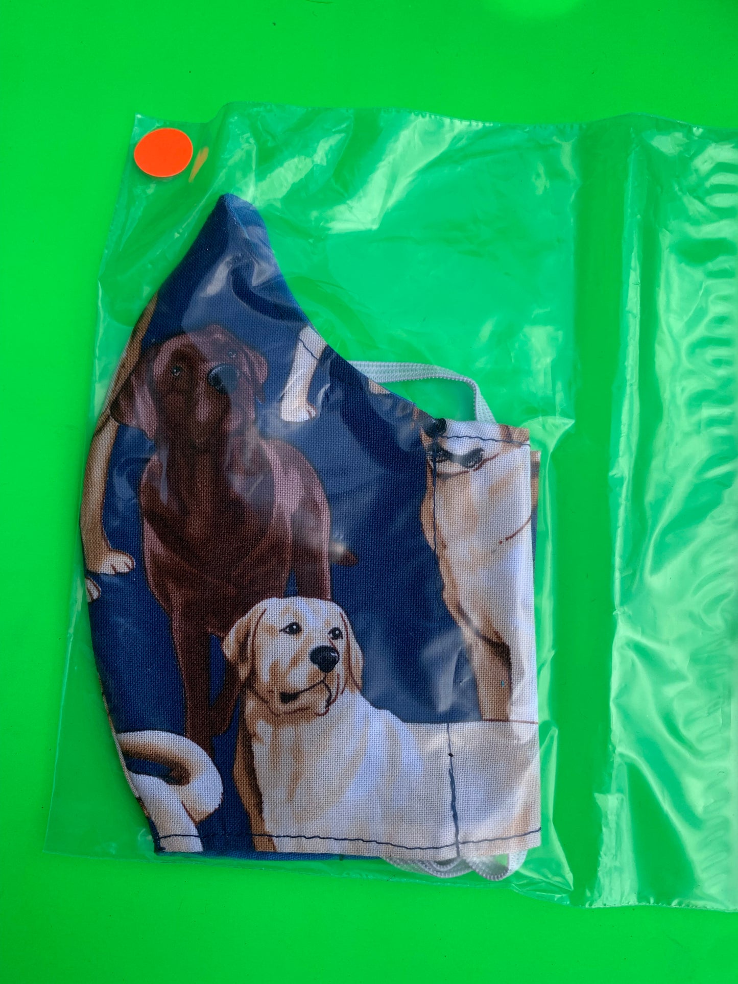 Labrador Chocolate  dog design