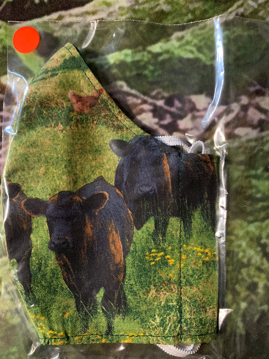 Black Cattle
